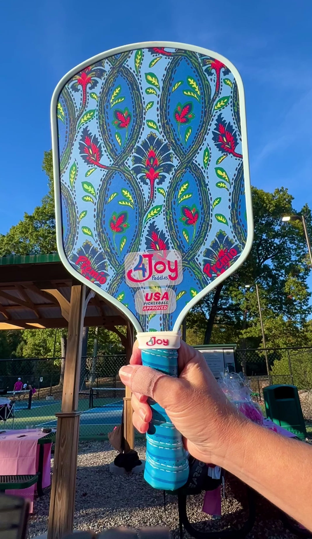 top pickleball paddles